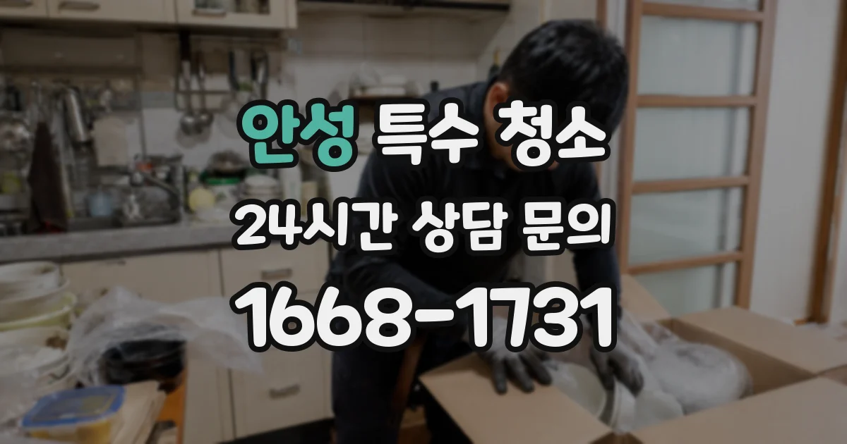 안성 특수 청소