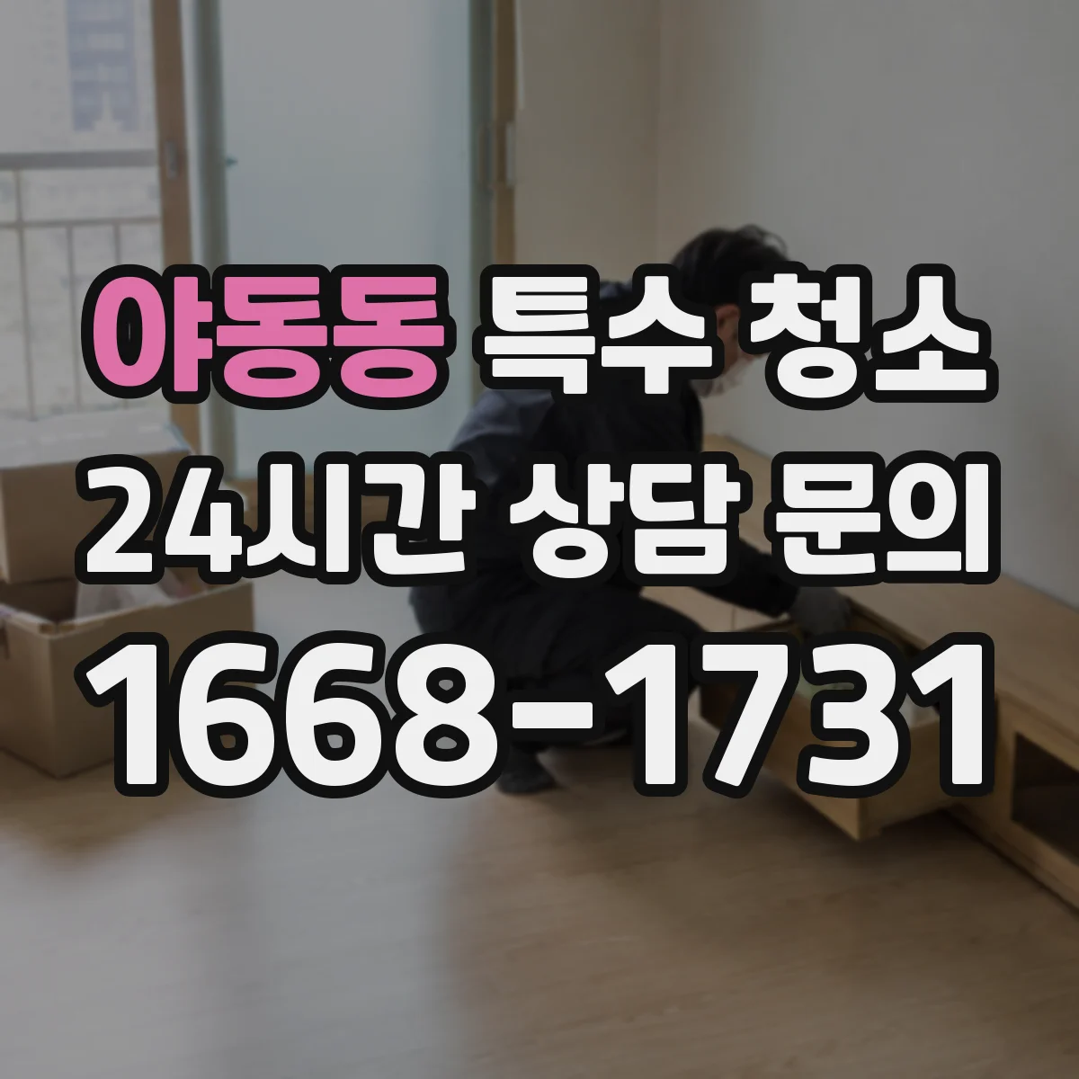 야동동 특수 청소