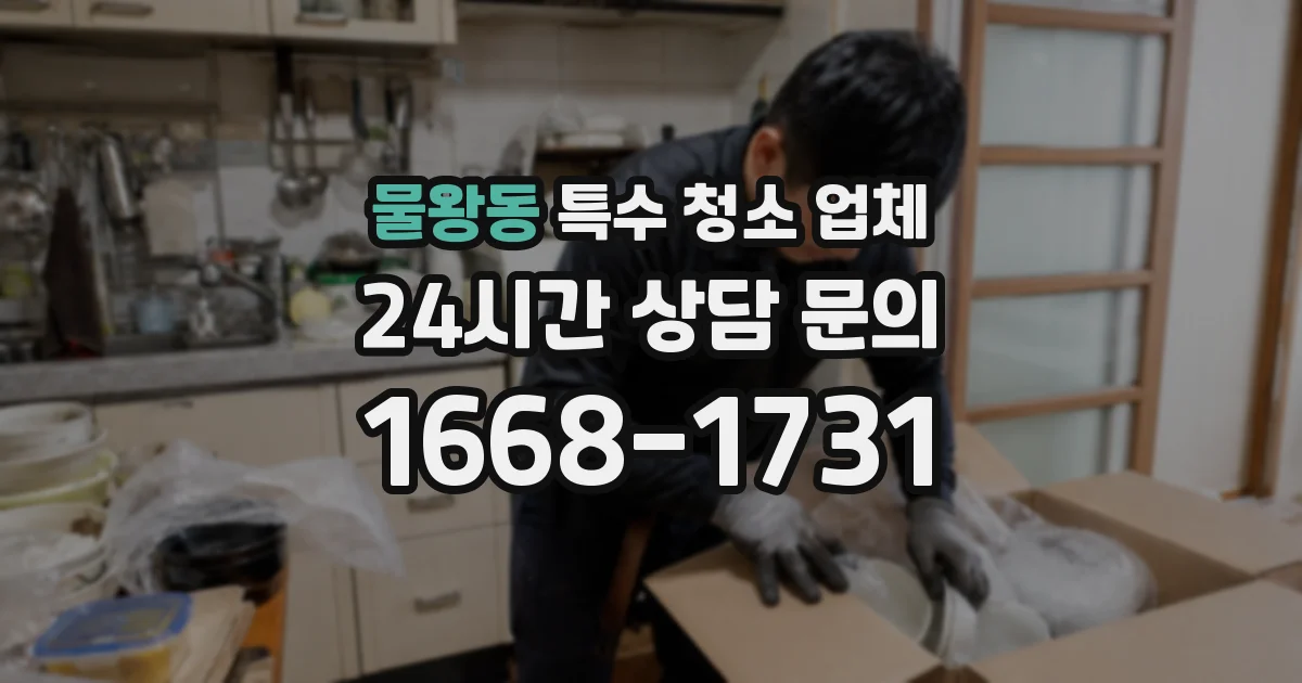 물왕동 특수 청소 업체