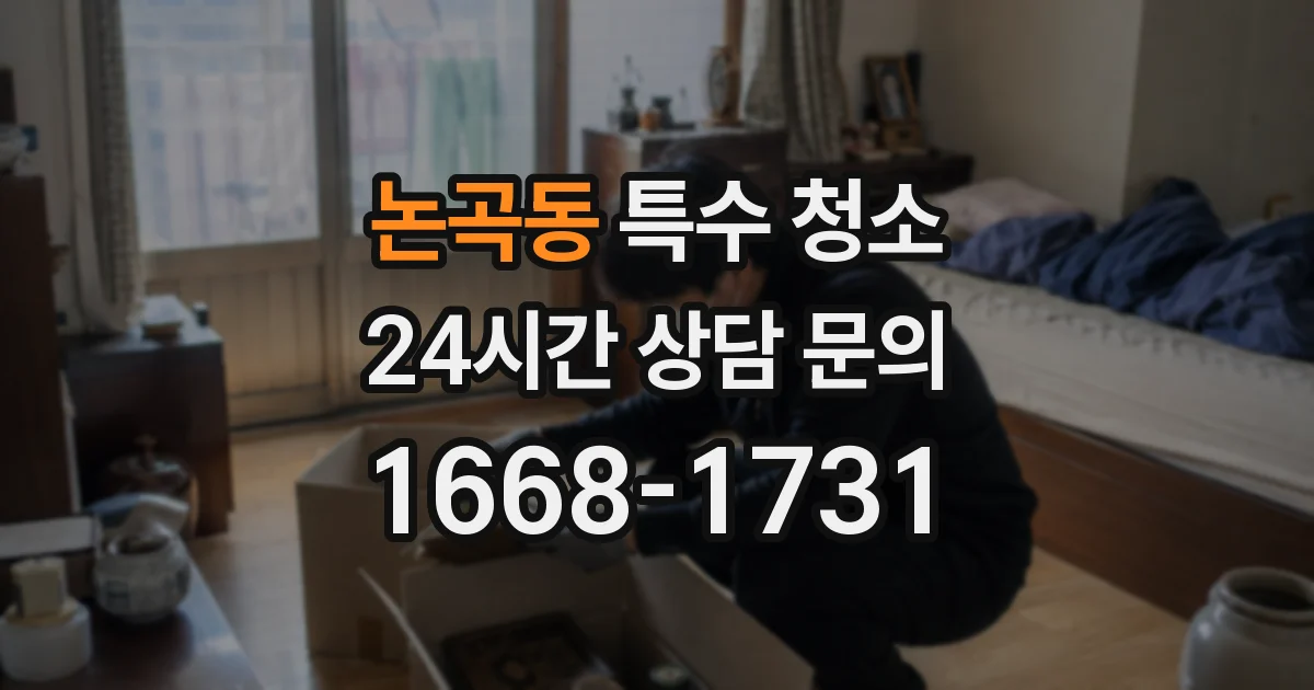 논곡동 특수 청소