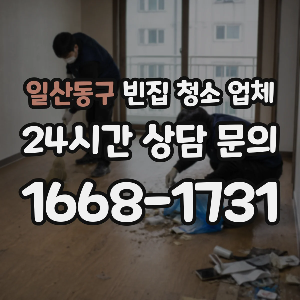 일산동구 빈집 청소 업체