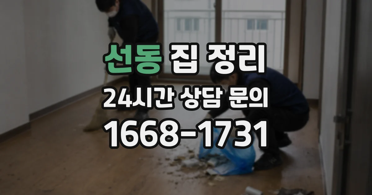 선동 집 정리