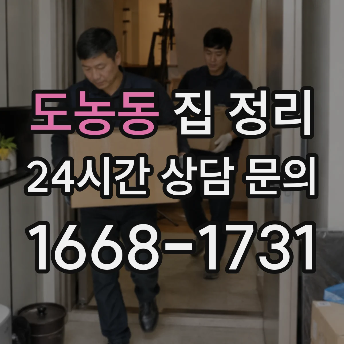 도농동 집 정리