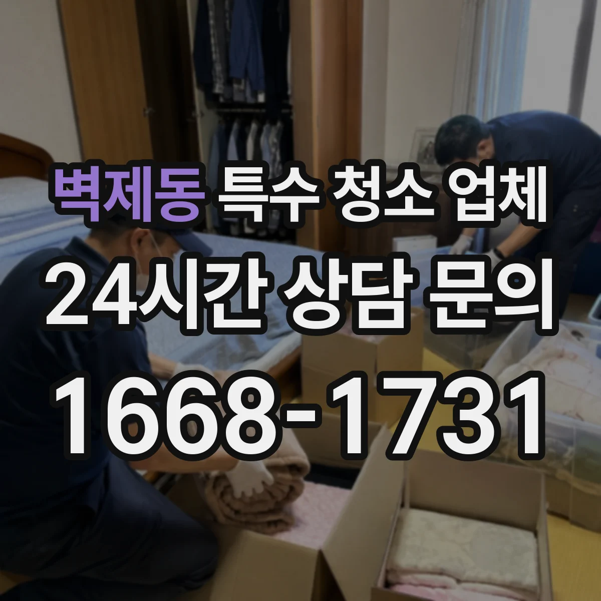 벽제동 특수 청소 업체
