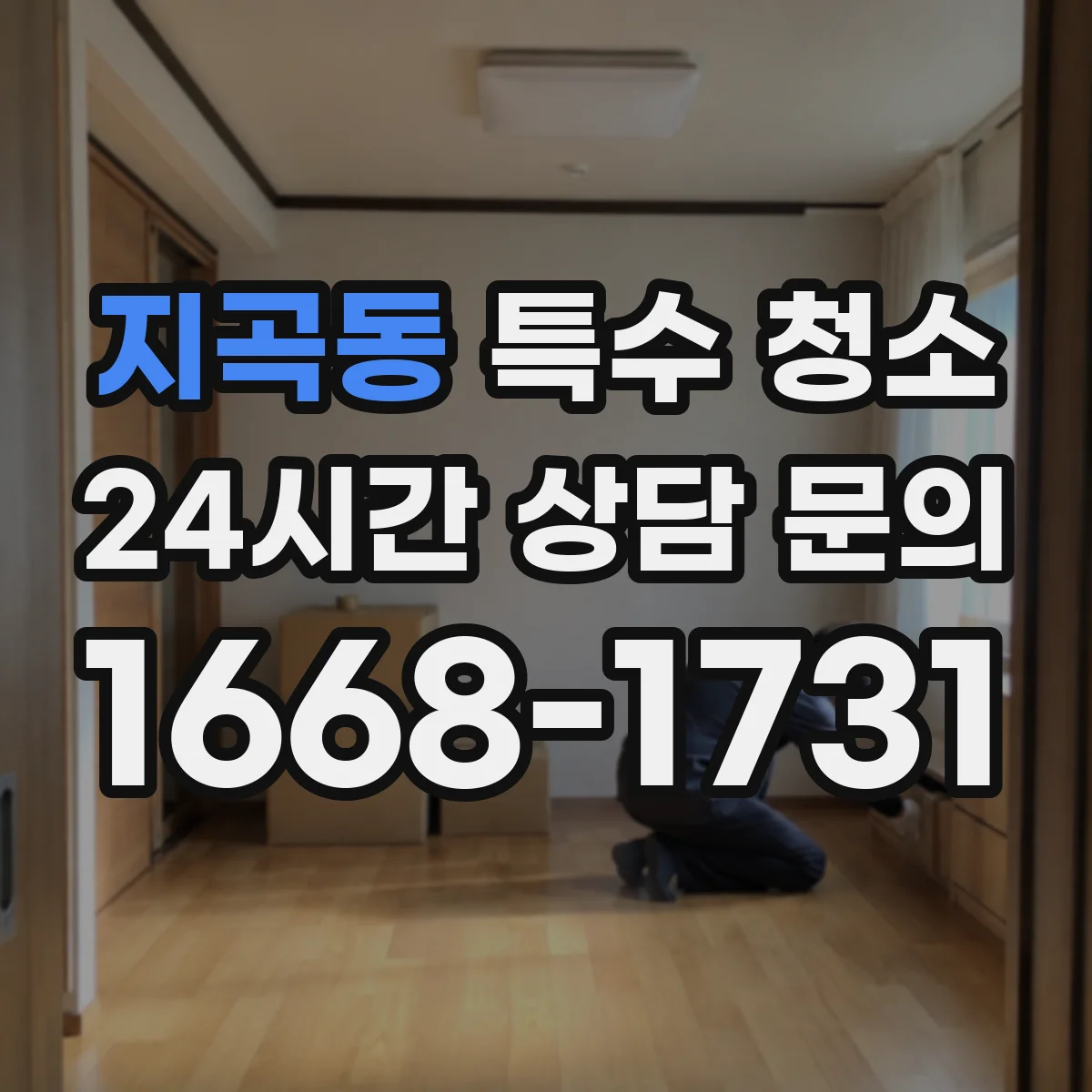 지곡동 특수 청소