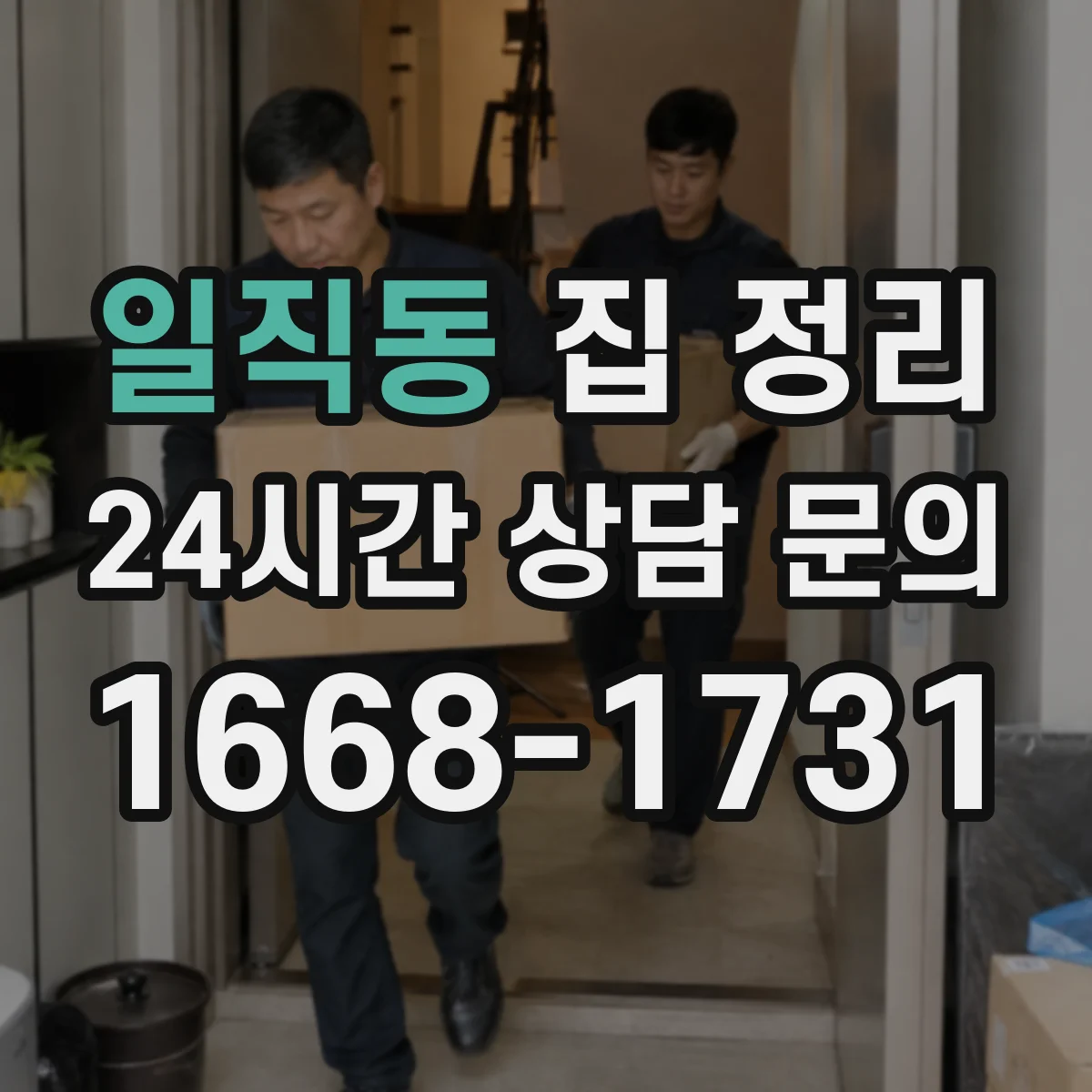 일직동 집 정리