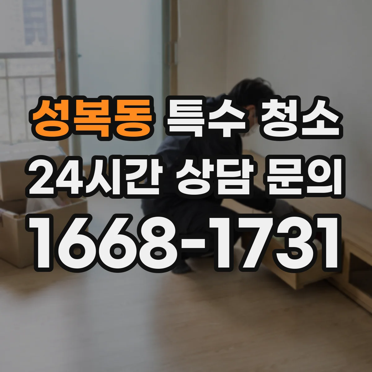 성복동 특수 청소
