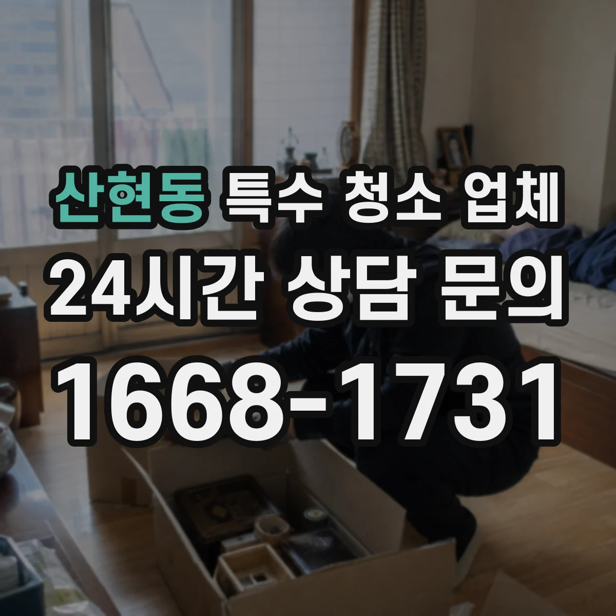 산현동 특수 청소 업체