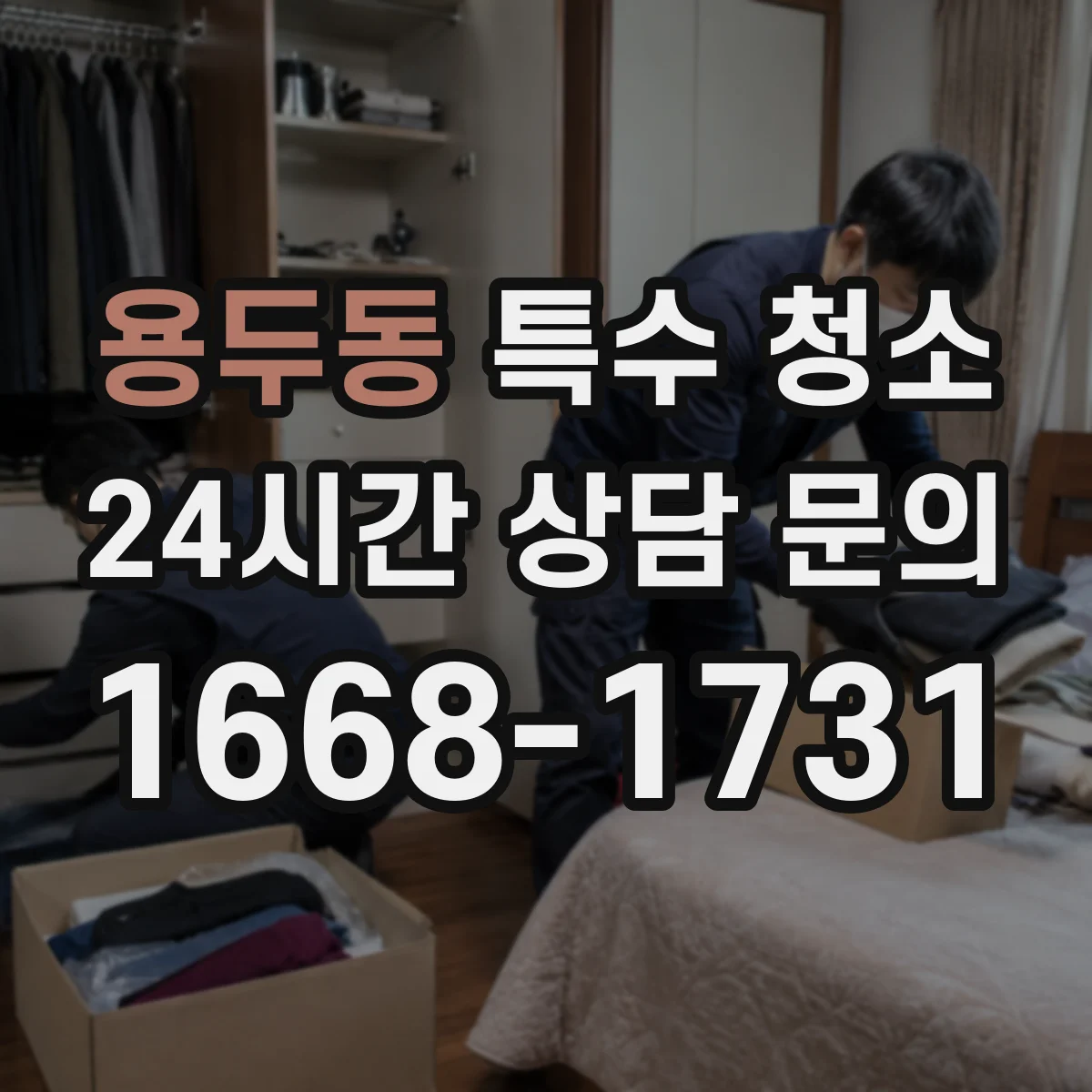 용두동 특수 청소