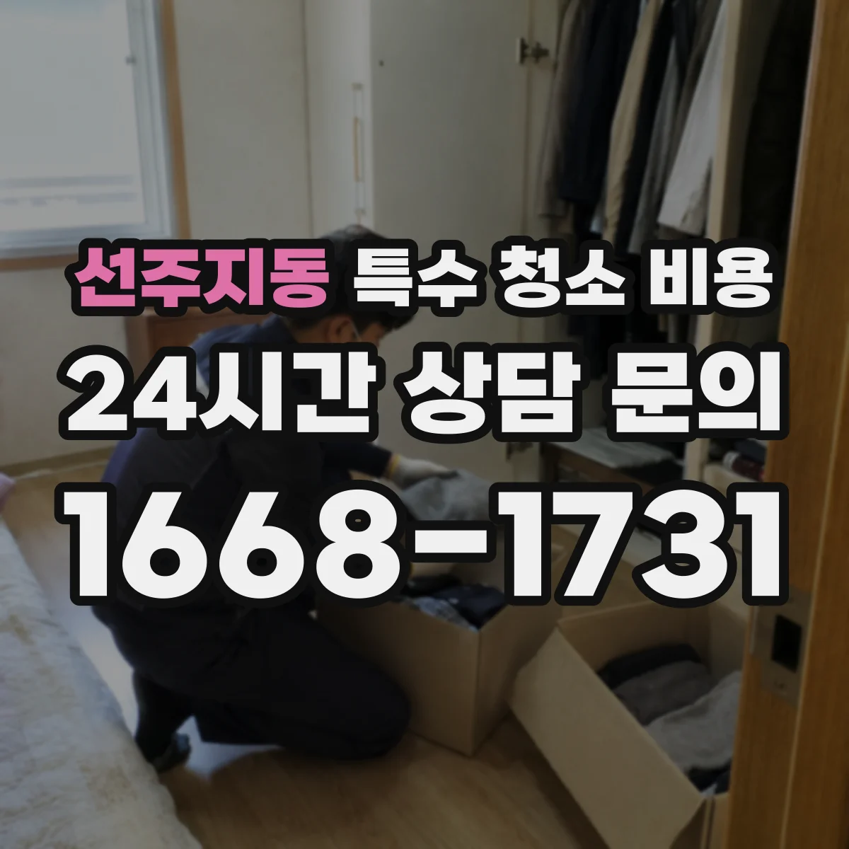 선주지동 특수 청소 비용