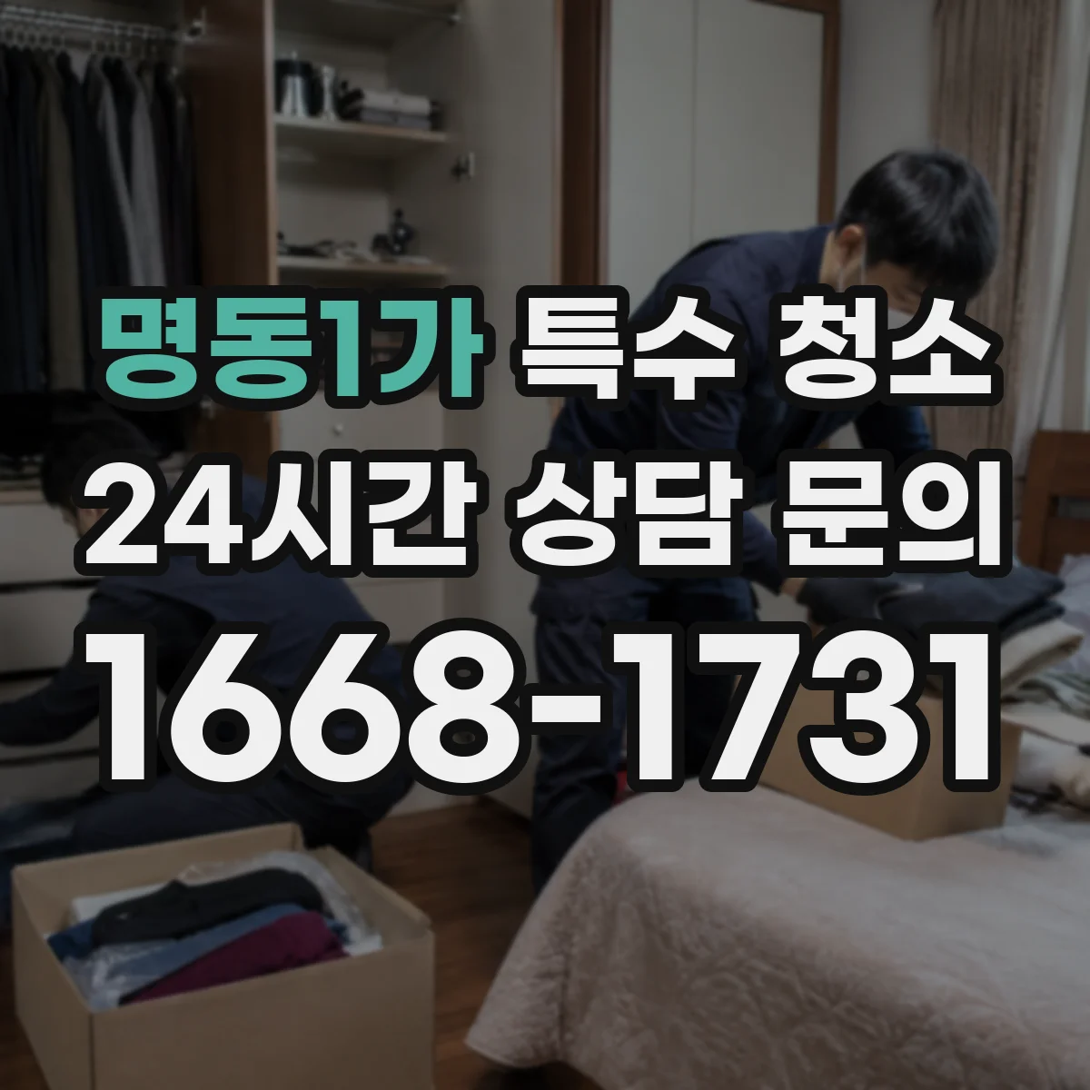 명동1가 특수 청소