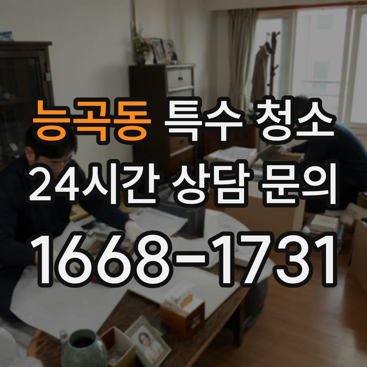 능곡동 특수 청소