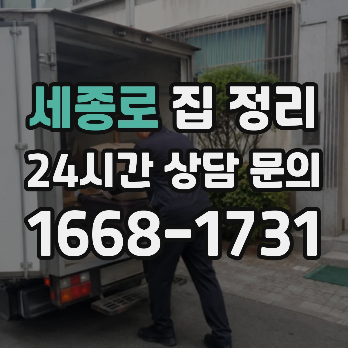세종로 집 정리 신발장 수납 보관 용기 높이 선택 요령