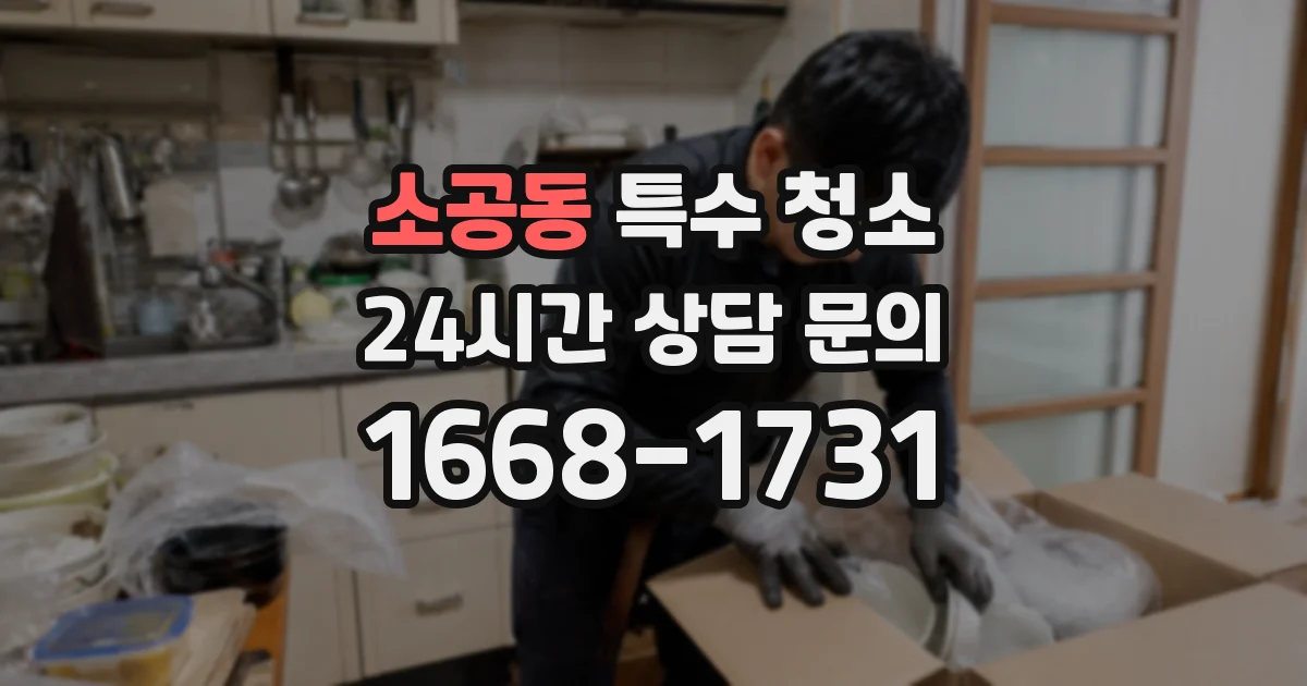 소공동 특수 청소