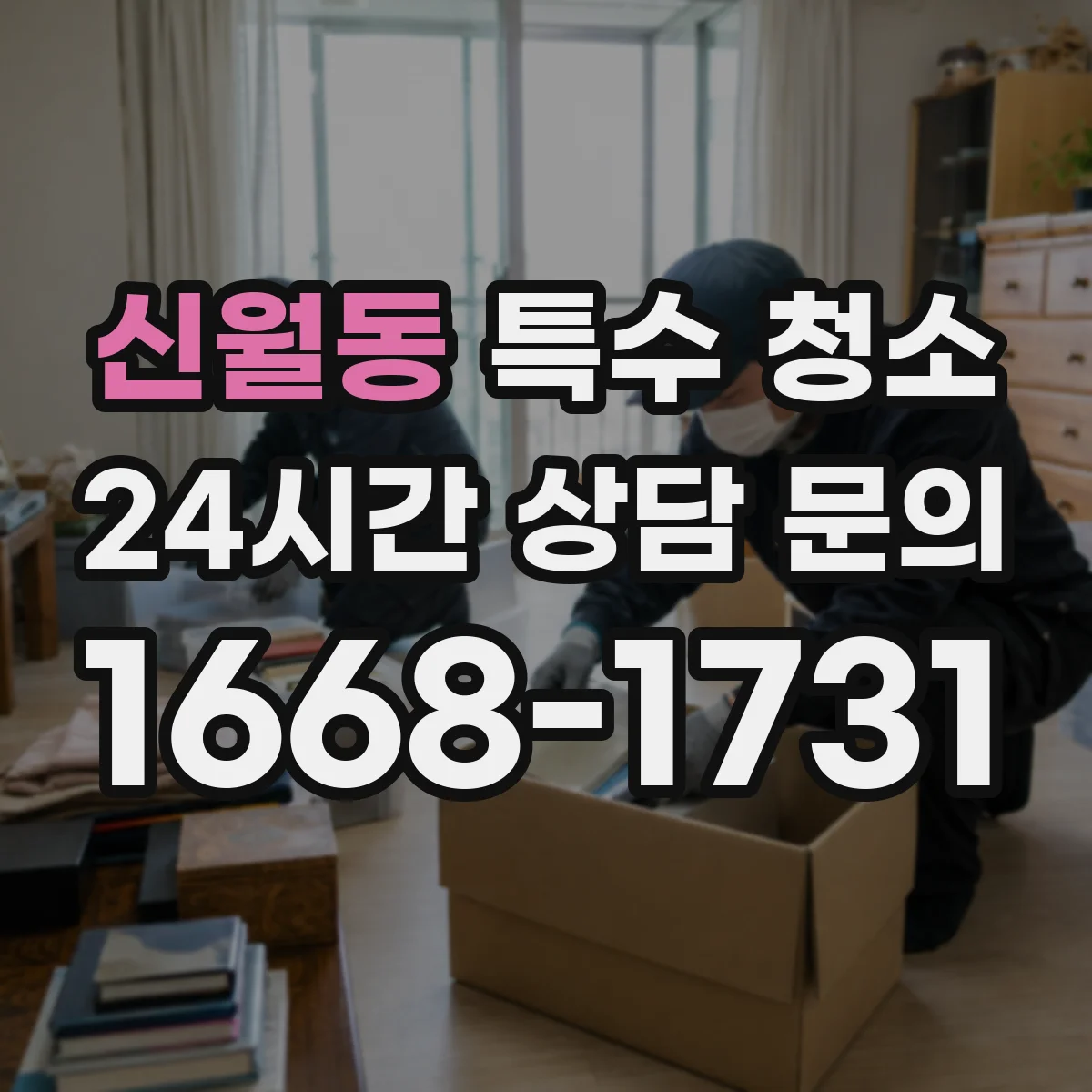 신월동 특수 청소
