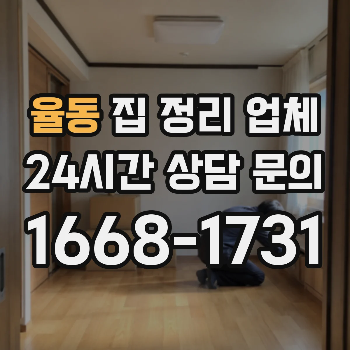 율동 집 정리 업체