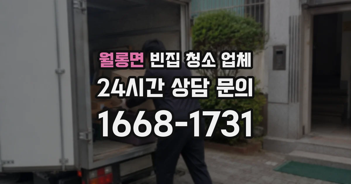 월롱면 빈집 청소 업체