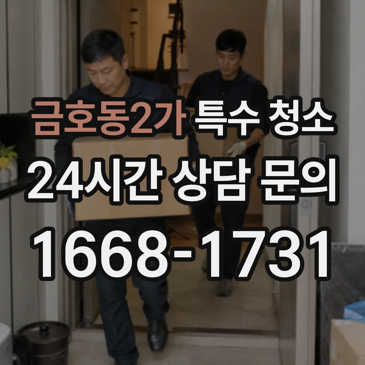 금호동2가 특수 청소