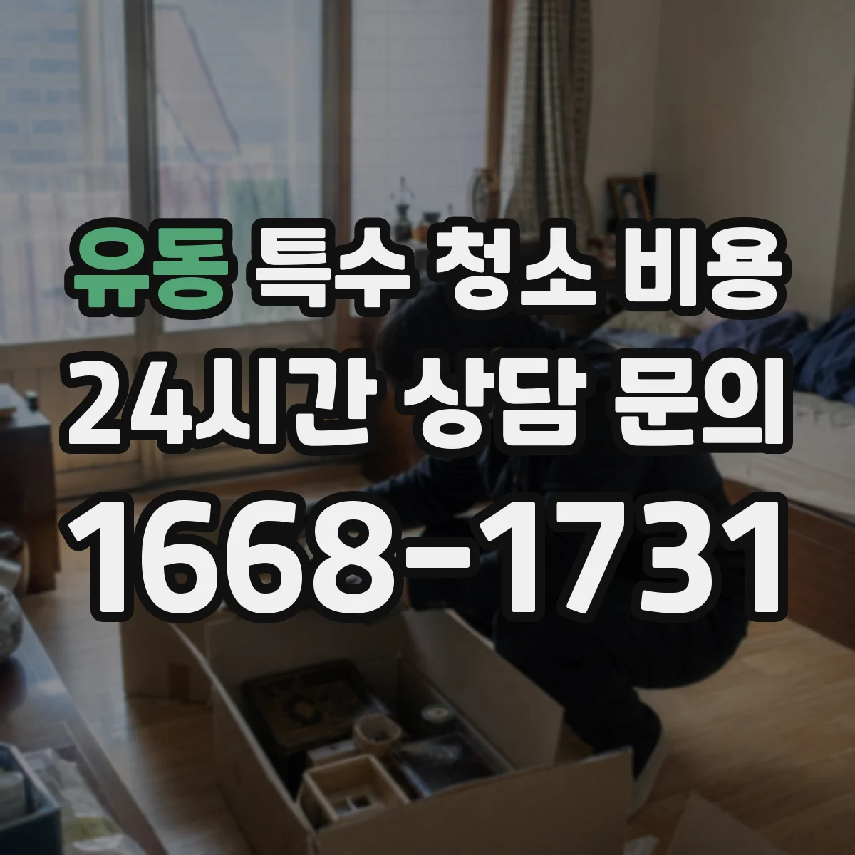 유동 특수 청소 비용