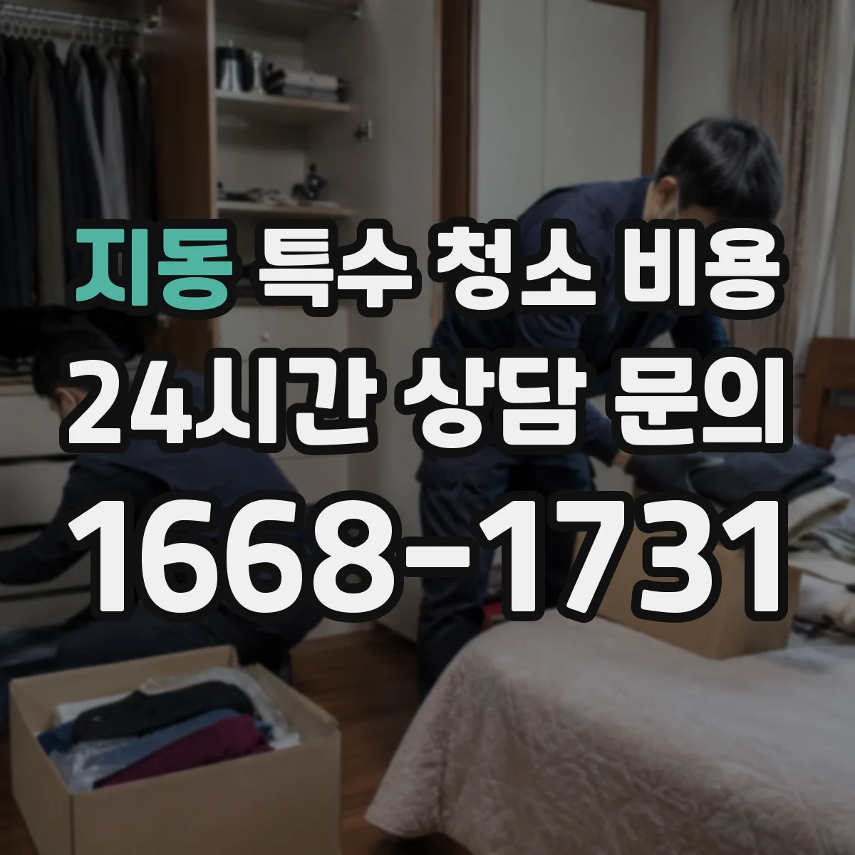 지동 특수 청소 비용
