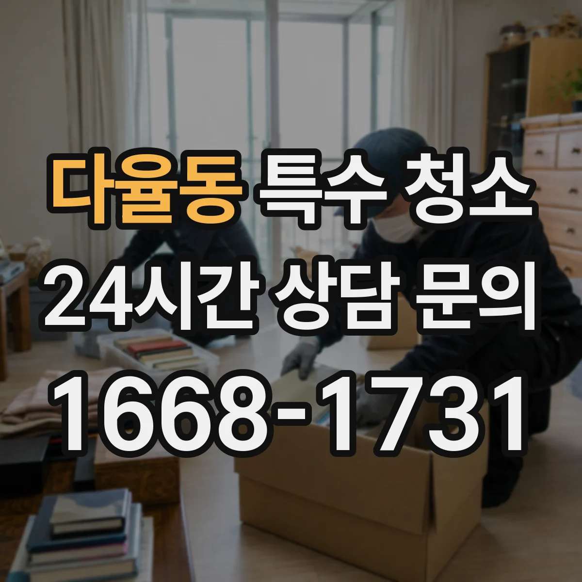 다율동 특수 청소