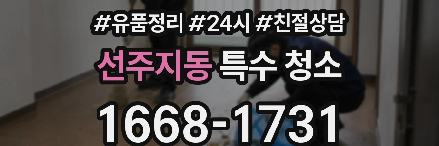 선주지동 특수 청소