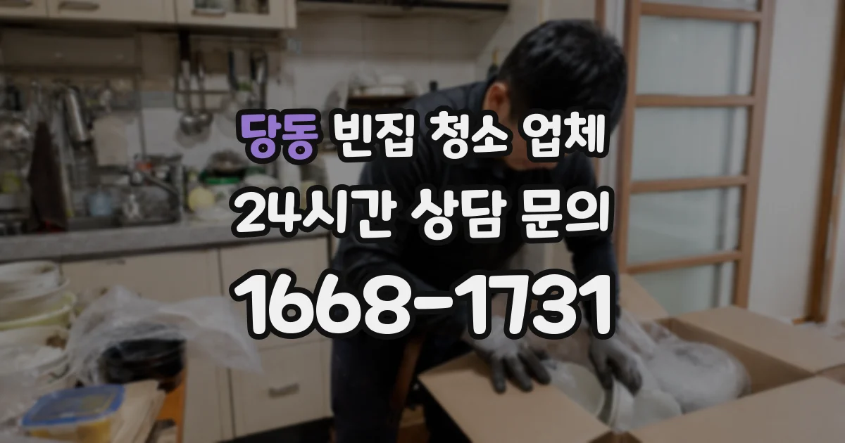 당동 빈집 청소 업체