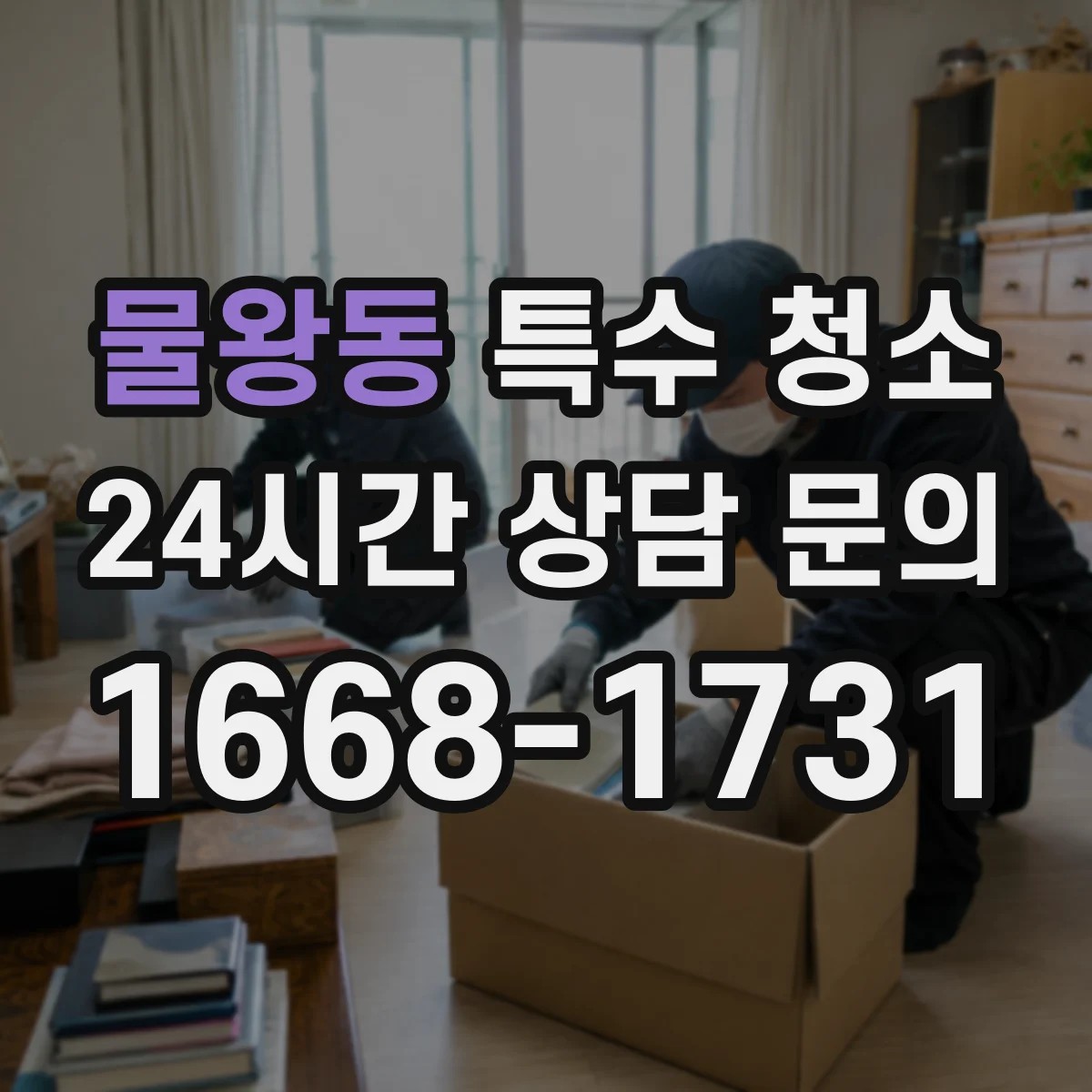 물왕동 특수 청소