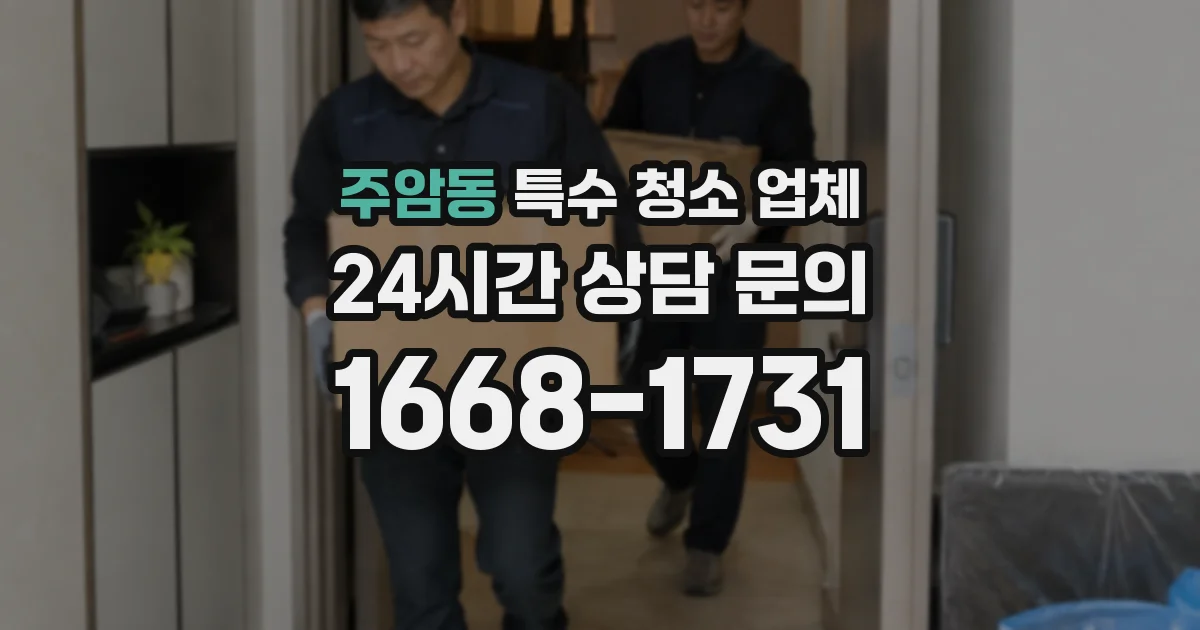 주암동 특수 청소 업체