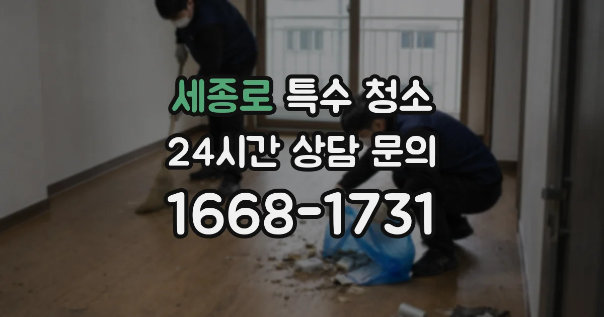 세종로 특수 청소