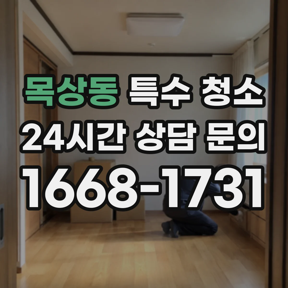 목상동 특수 청소