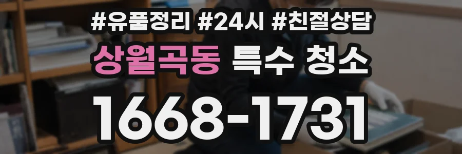 상월곡동 특수 청소