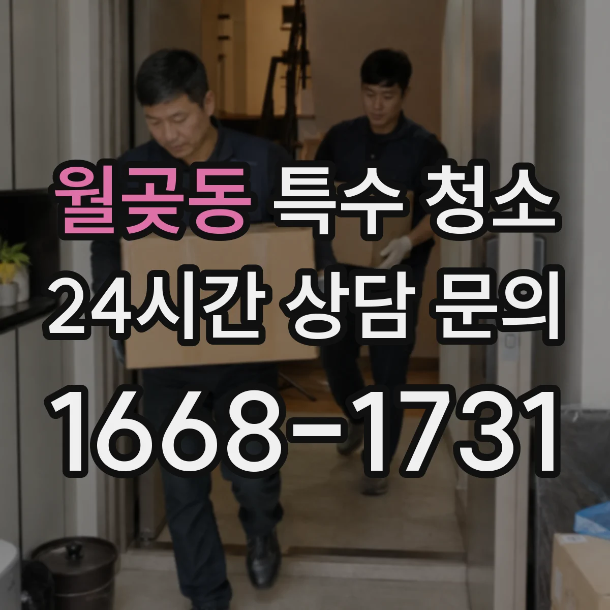 월곶동 특수 청소