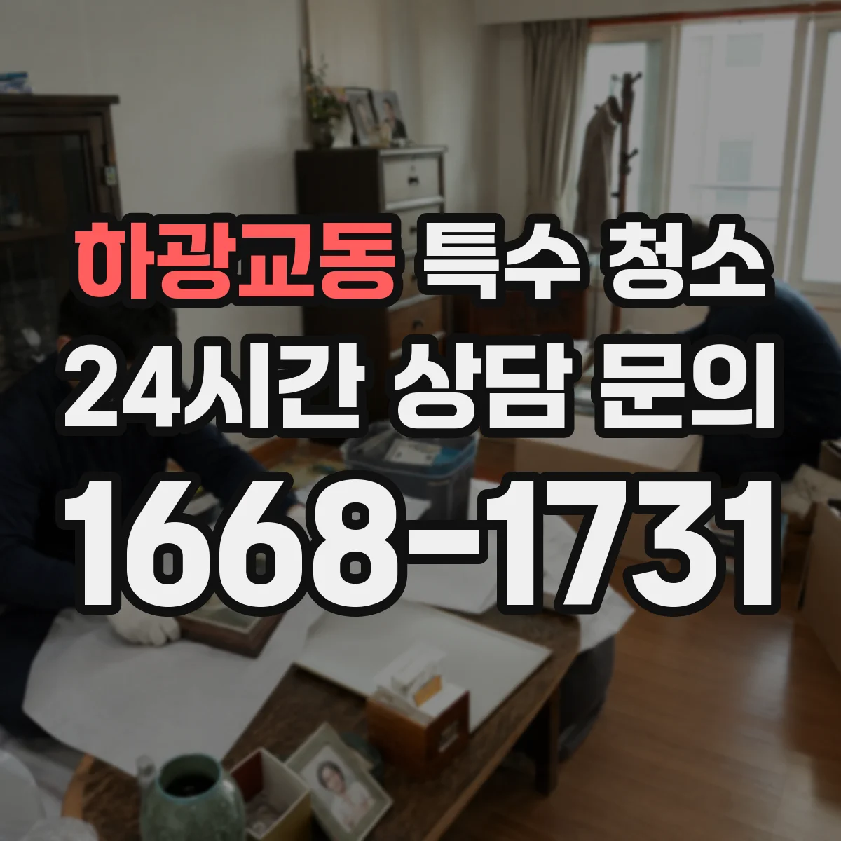 하광교동 특수 청소