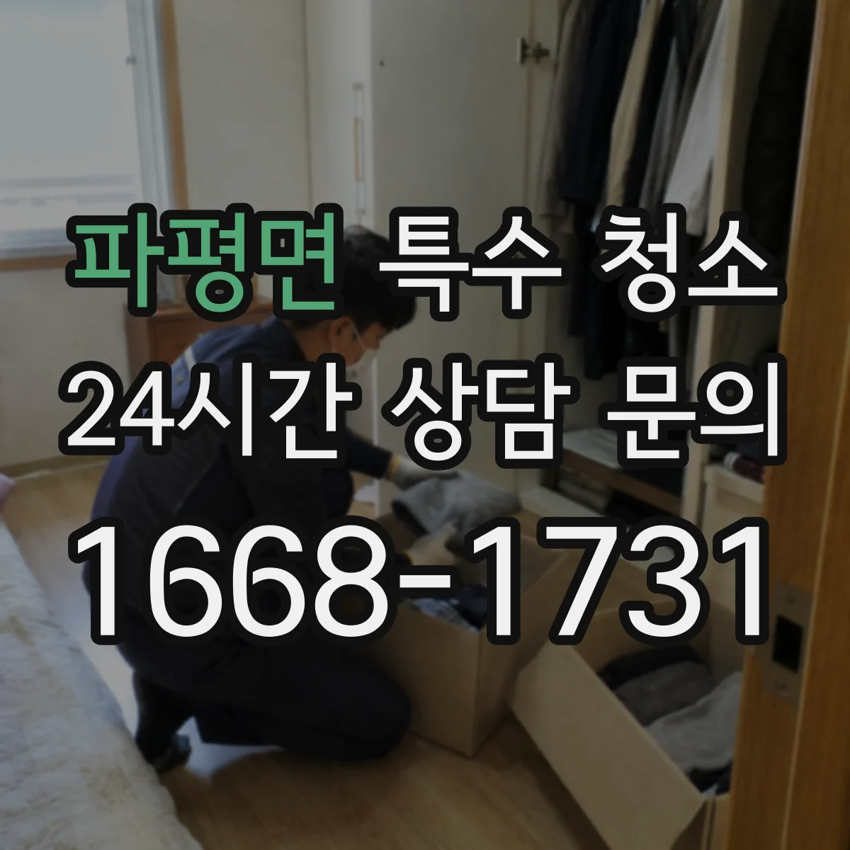 파평면 특수 청소
