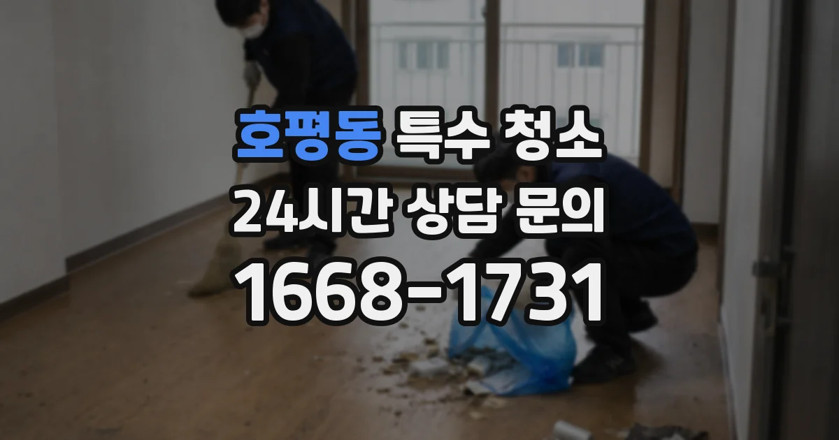 호평동 특수 청소