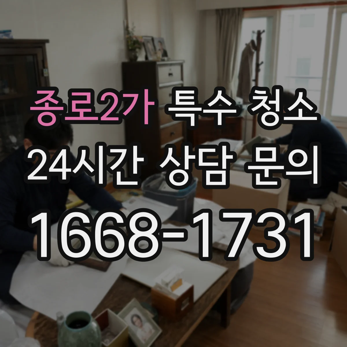 종로2가 특수 청소