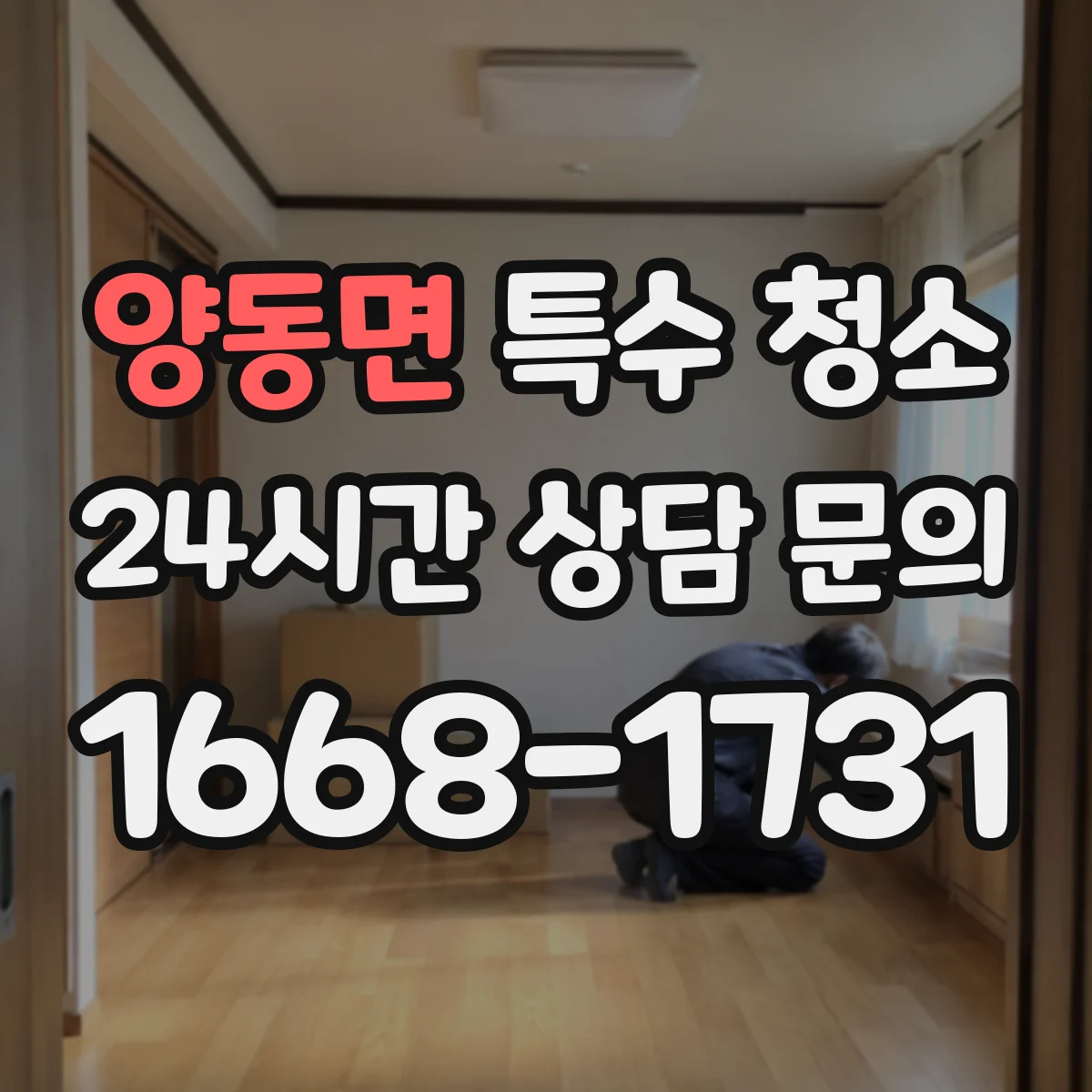 양동면 특수 청소