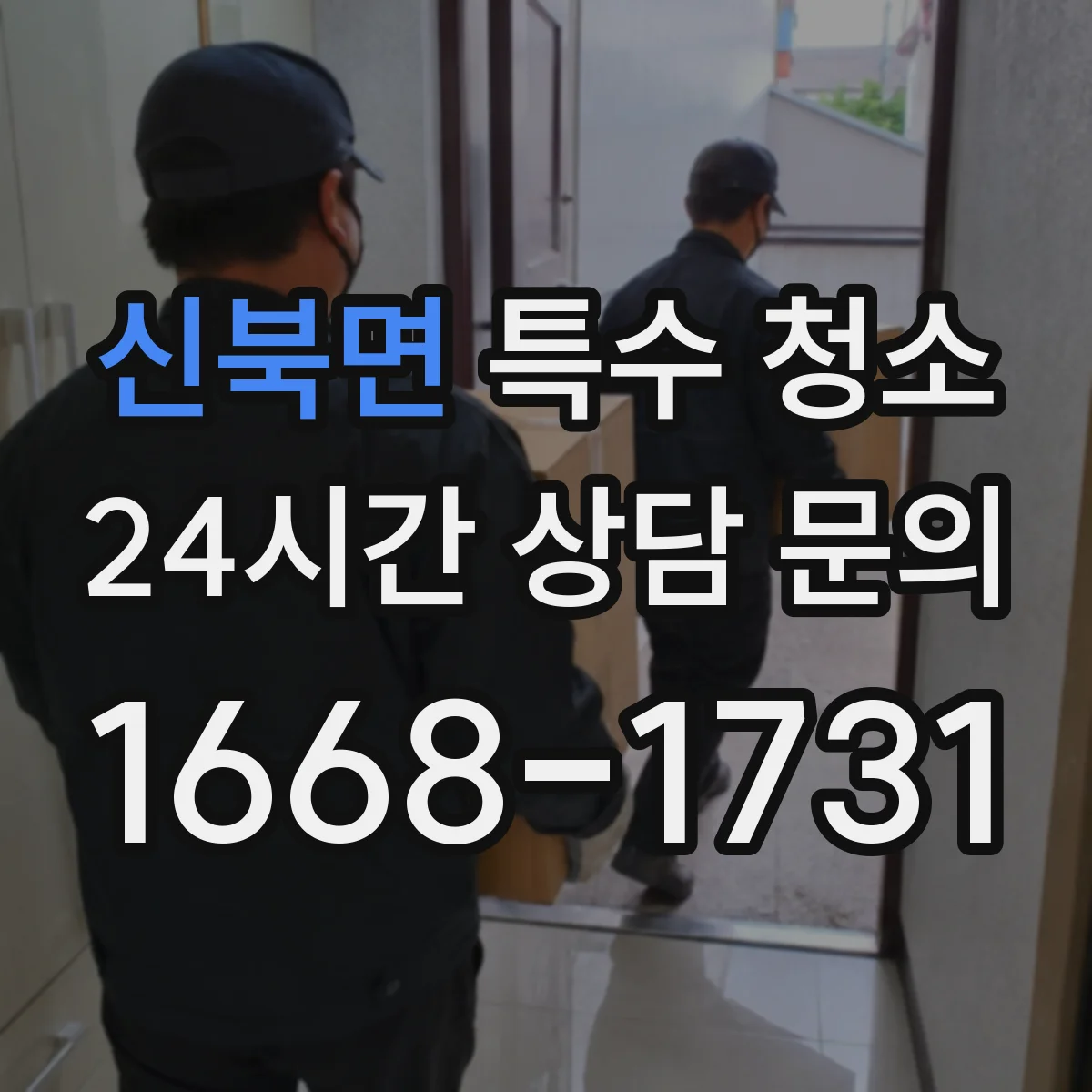신북면 특수 청소