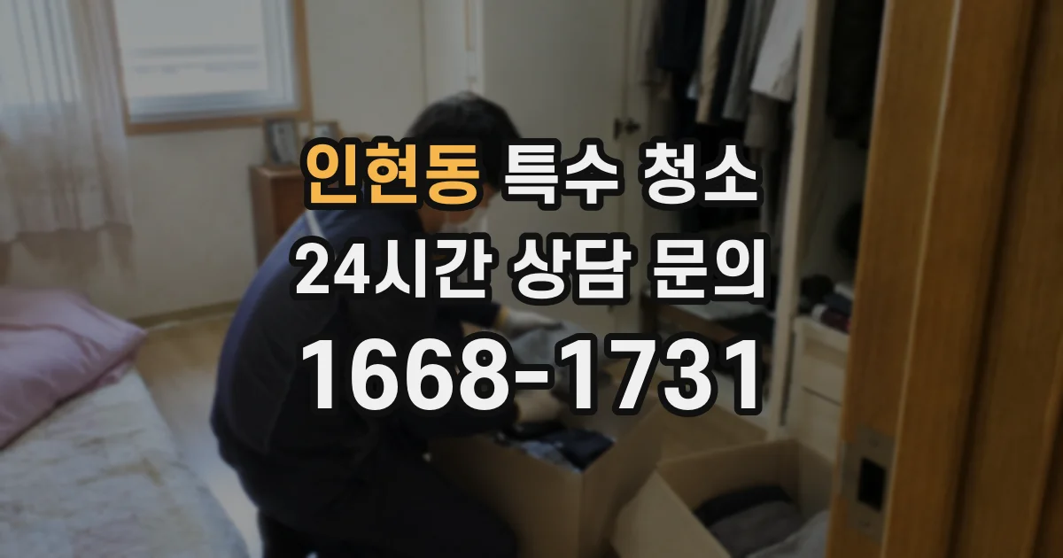 인현동 특수 청소