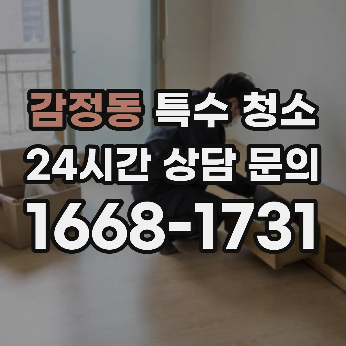 감정동 특수 청소