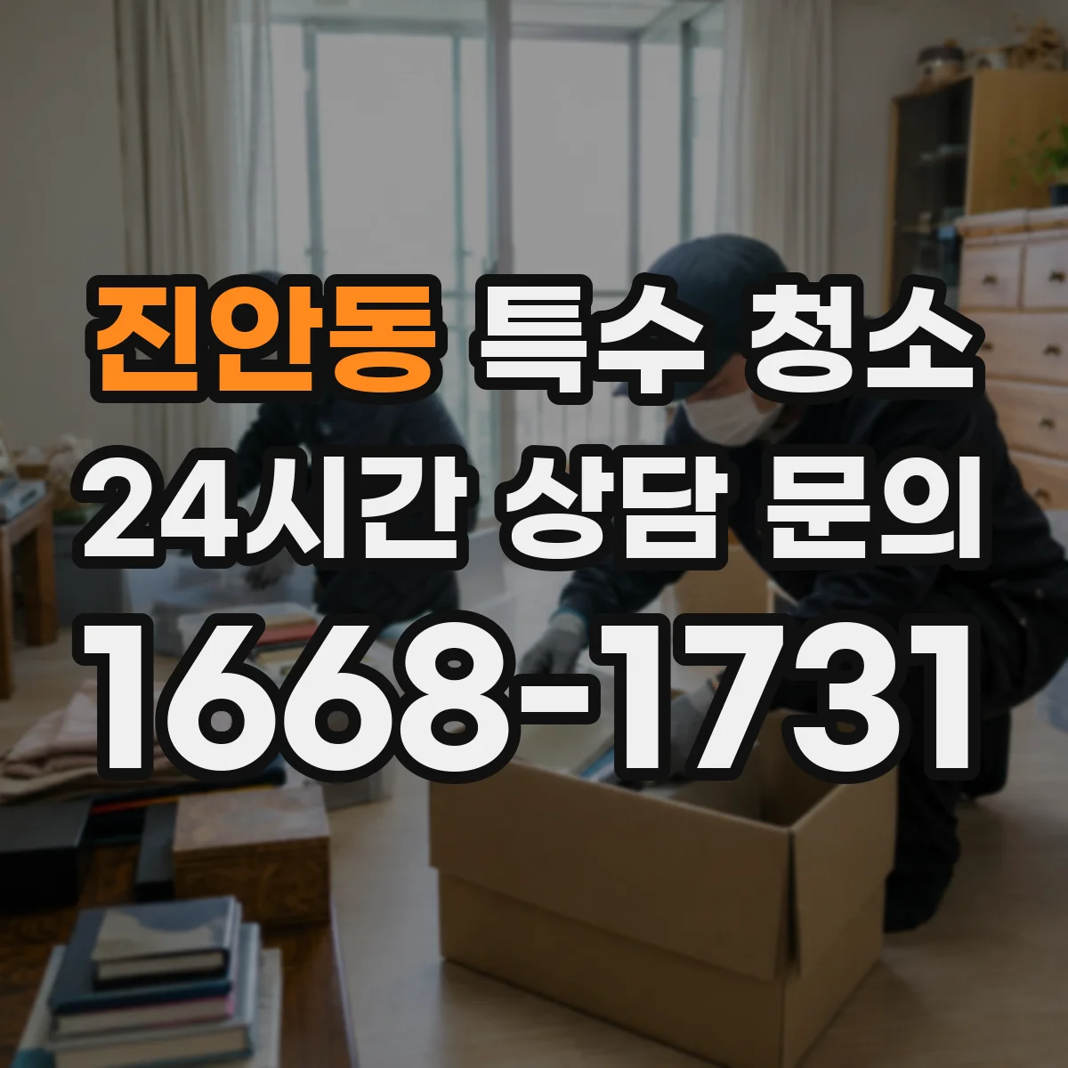 진안동 특수 청소