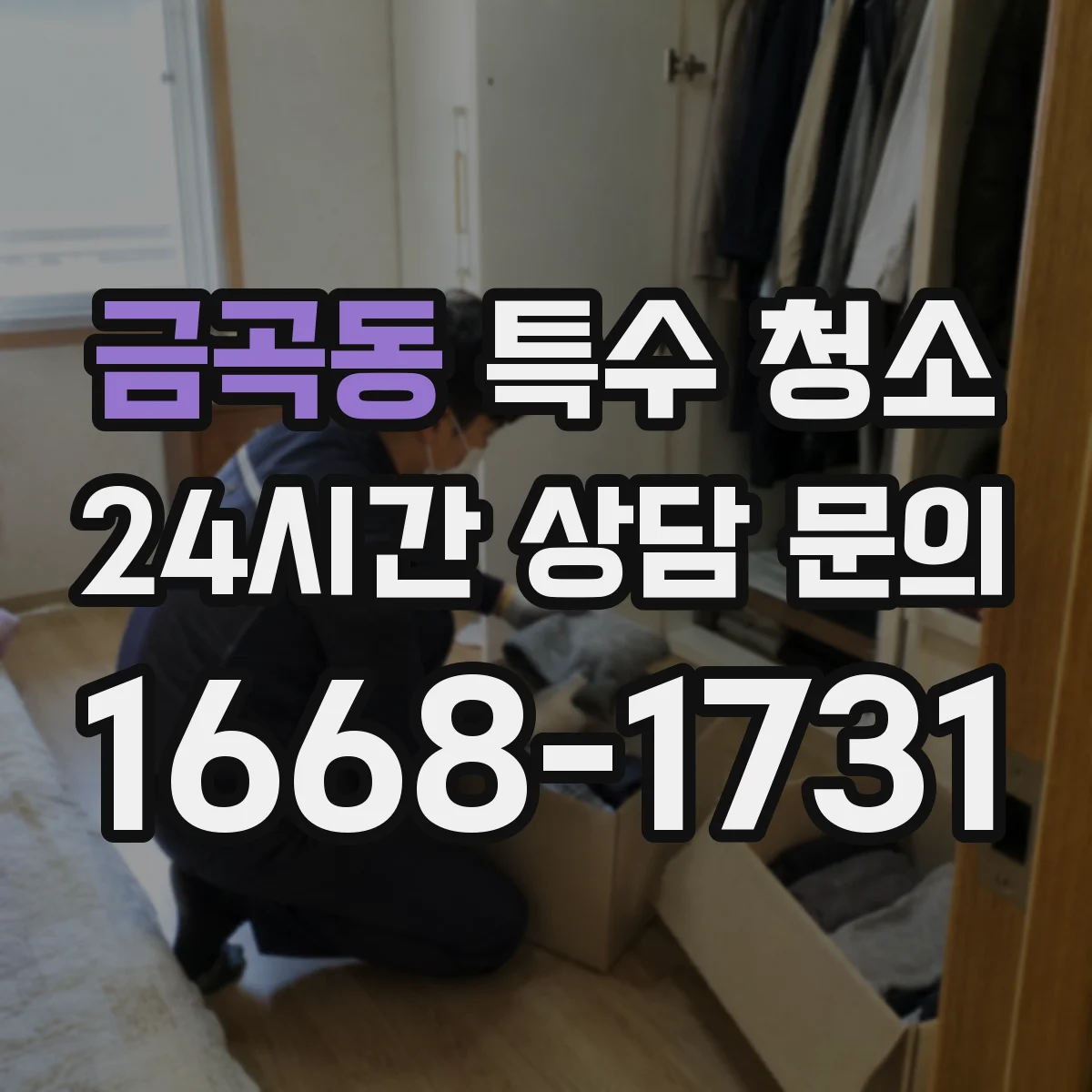 금곡동 특수 청소