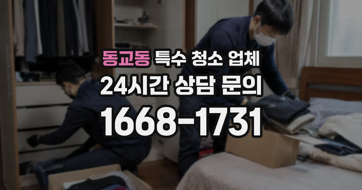 동교동 특수 청소 업체