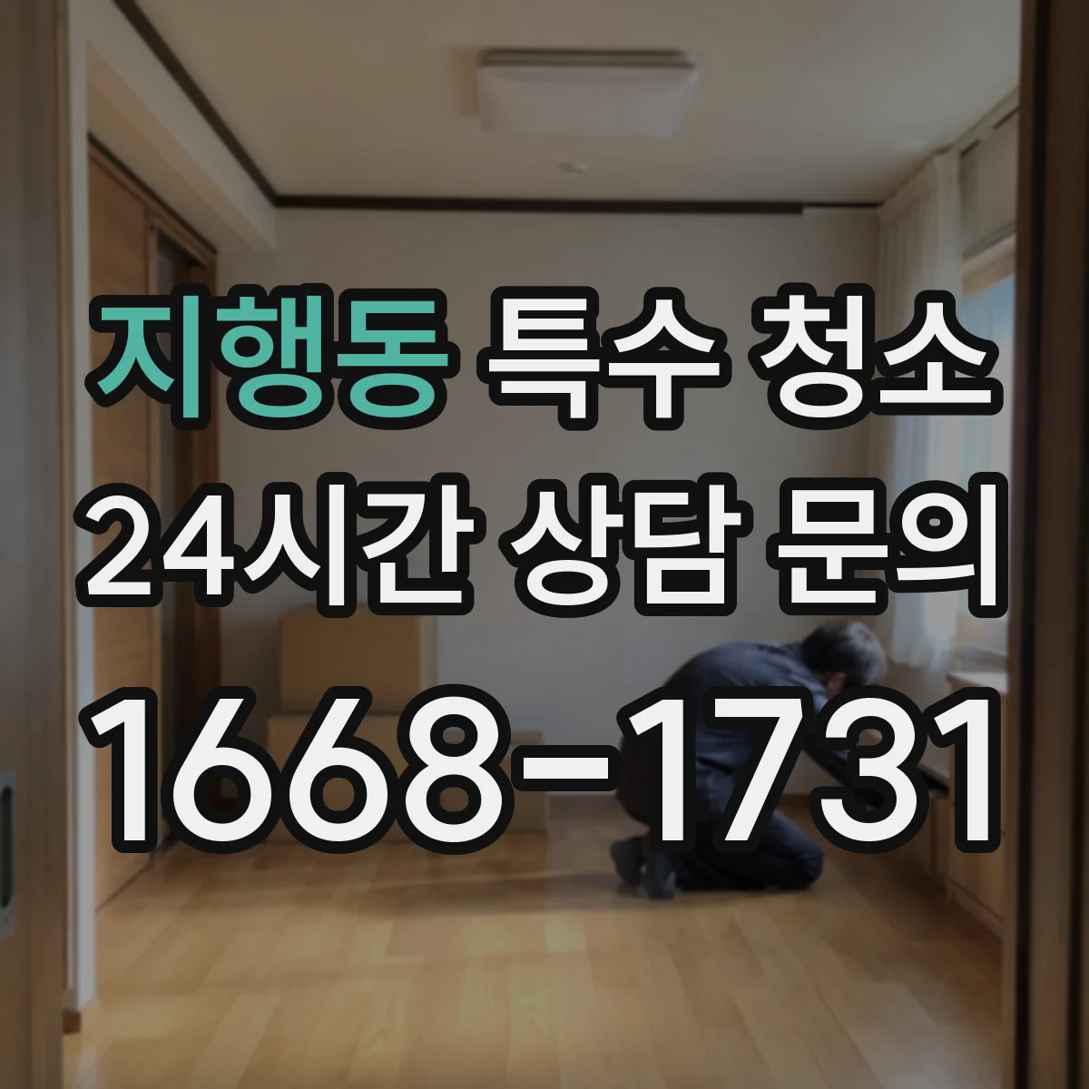 지행동 특수 청소