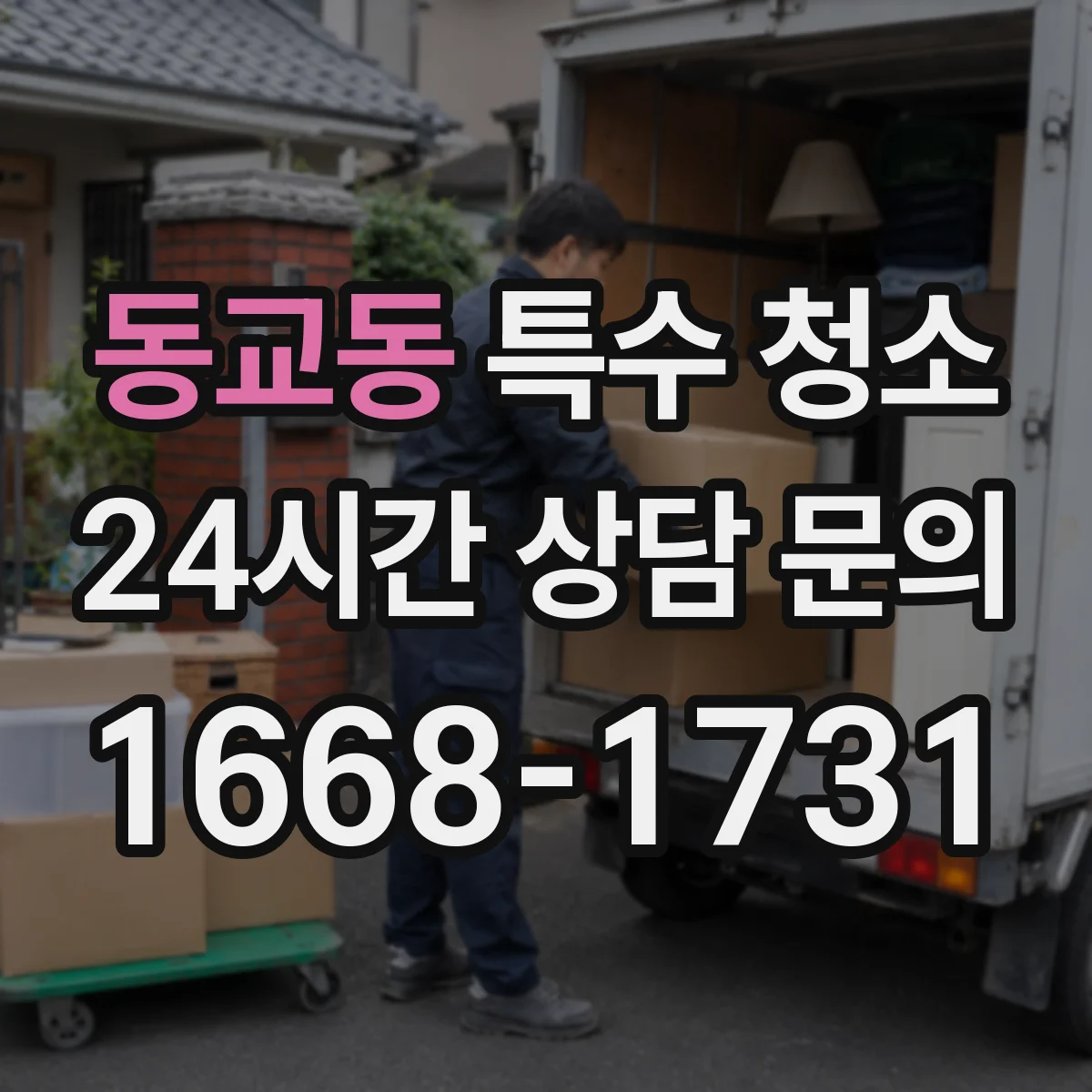 동교동 특수 청소