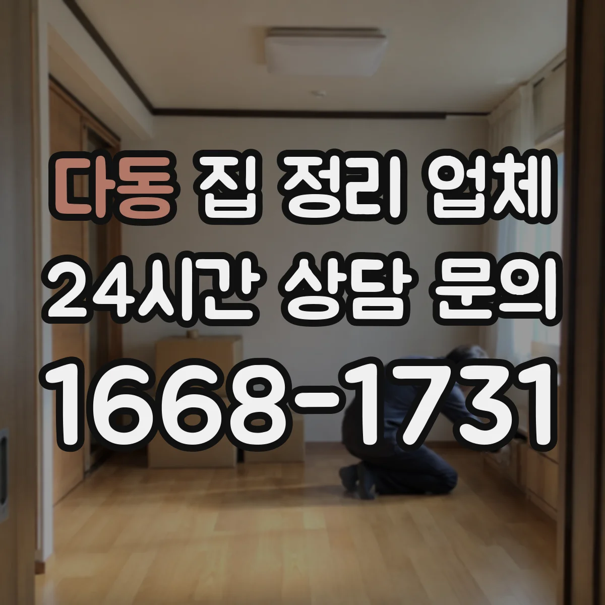 다동 집 정리 업체