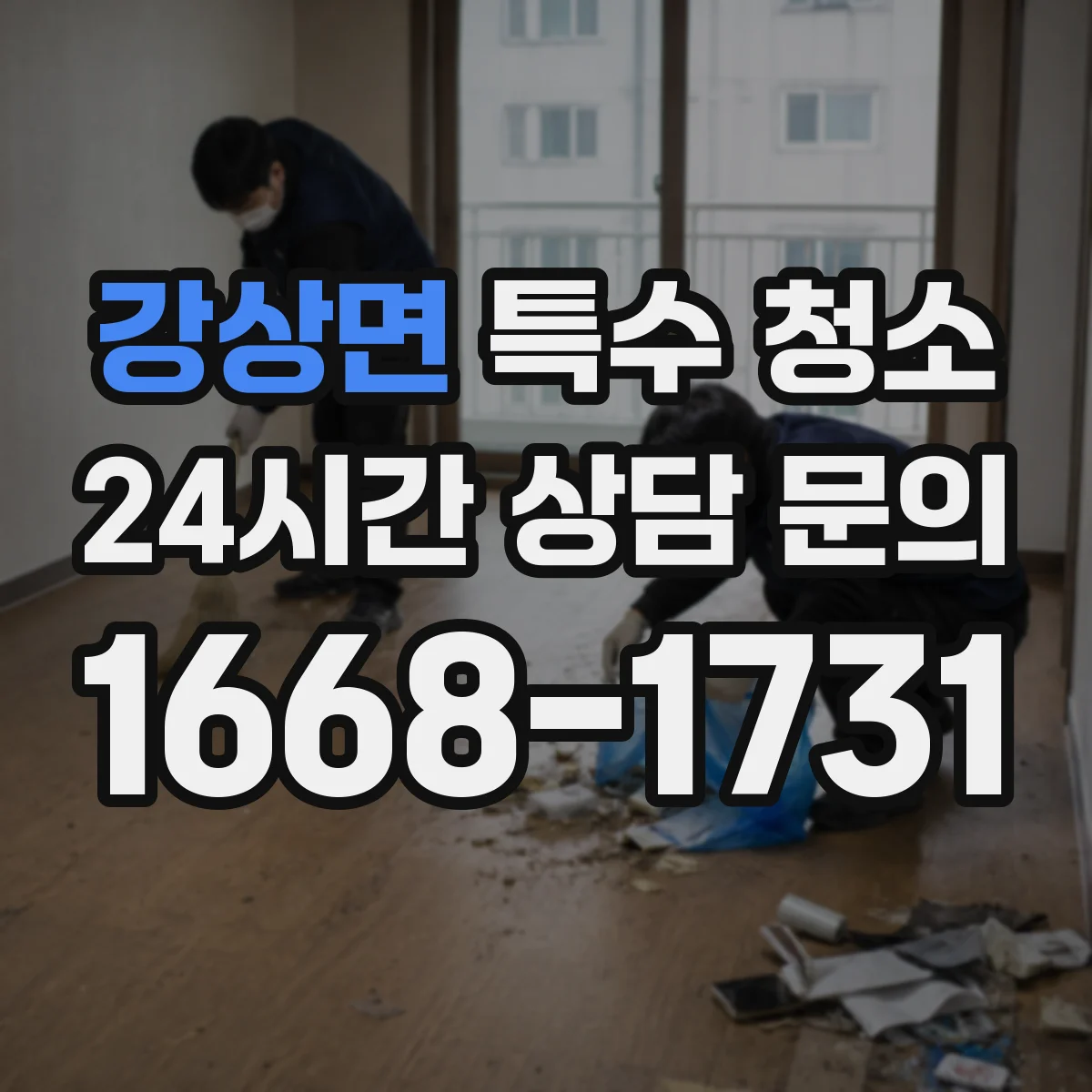 강상면 특수 청소