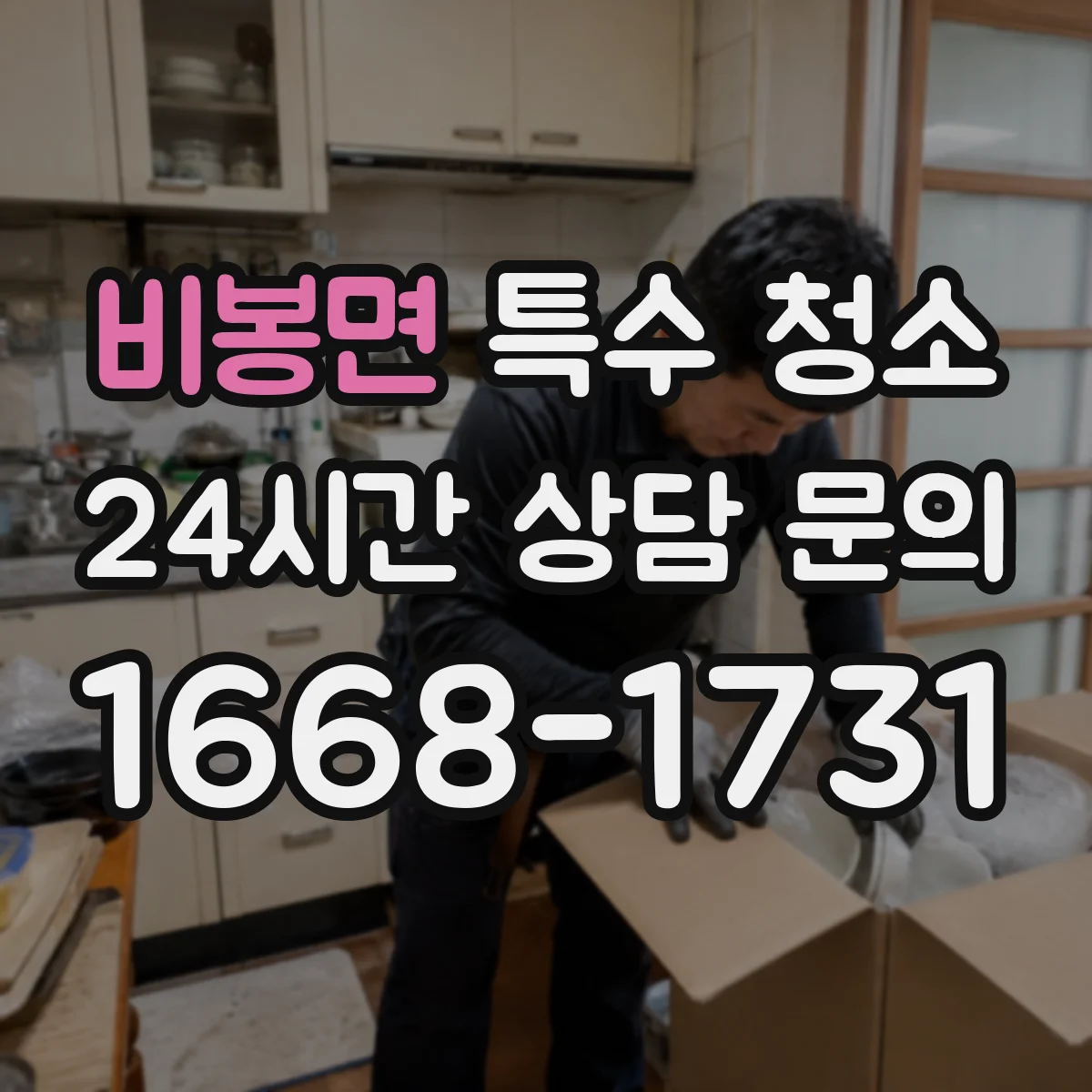비봉면 특수 청소