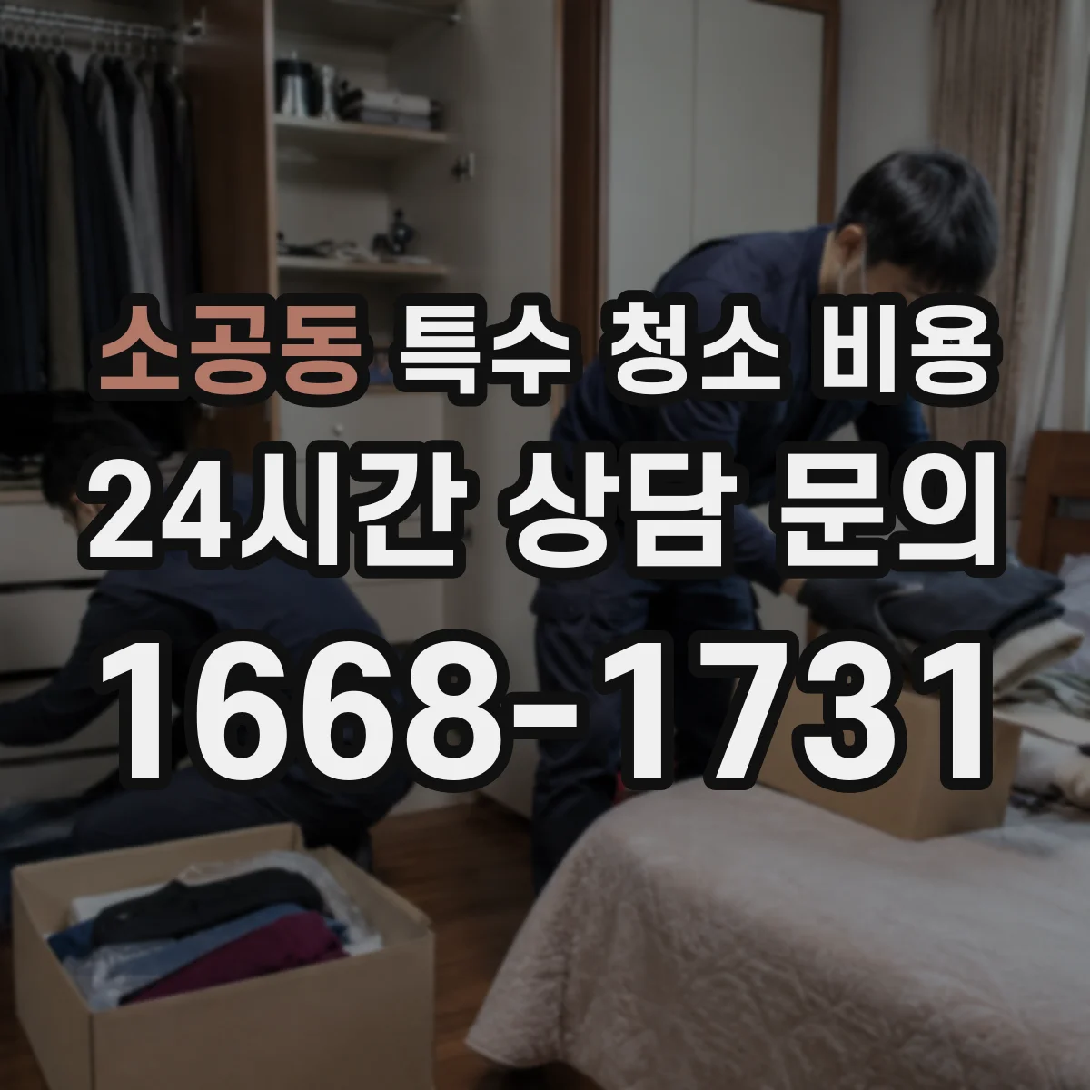 소공동 특수 청소 비용